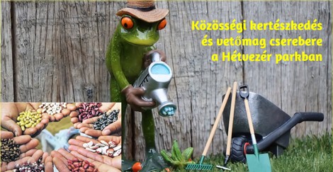 Meghívó: Közösségi kertészkedés és vetőmag csere-bere