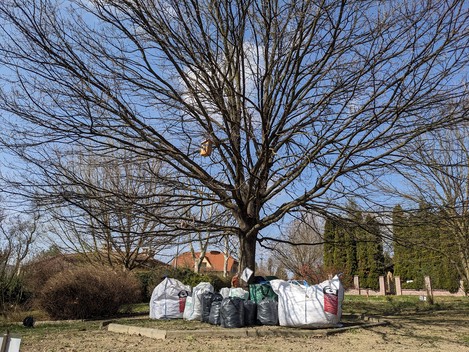 Meghívó: Március 30-án lesz a Közösségi kertészkedés és vetőmag csere-bere