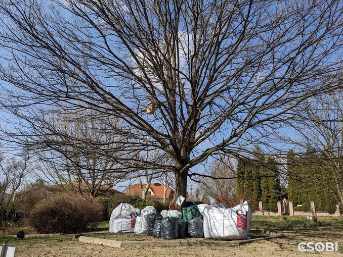 Meghívó: Március 30-án lesz a Közösségi kertészkedés és vetőmag csere-bere
