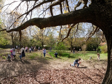 A csobánkai nyúl nyomában