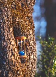 Új határidő a csobánkai dolomitbánya ügyében