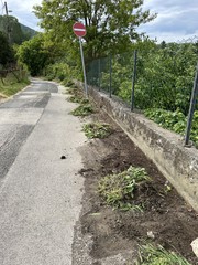 Támfalvédő takarítás az Ady Endre utcában