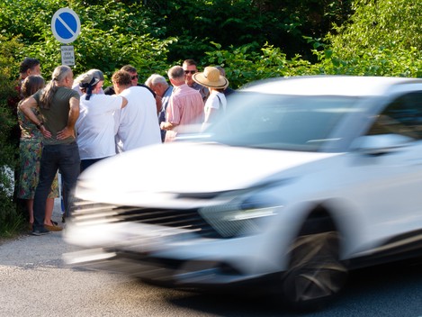 Zebra-séta Csobánkán