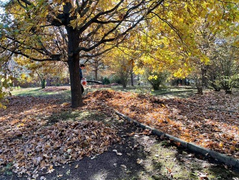 Közösségi kertészkedésre hívjuk