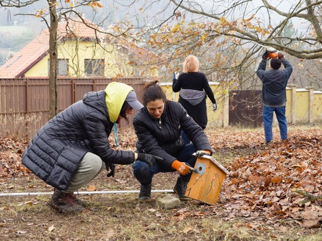 Közösségi kertészkedés