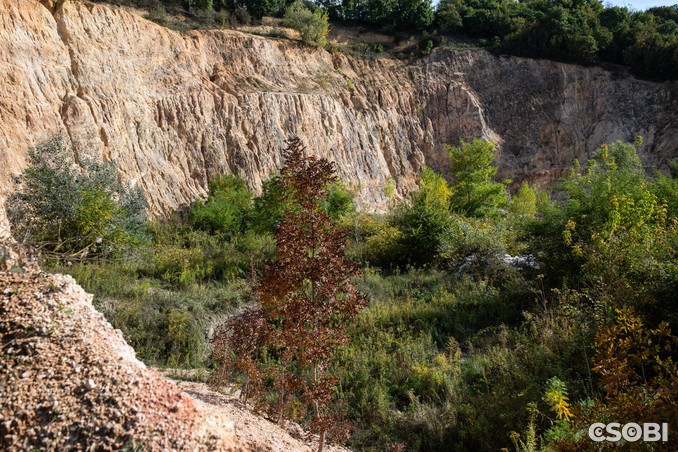 Első fokon győzött a természet és a civil összefogás