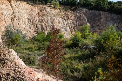 Első fokon győzött a természet és a civil összefogás