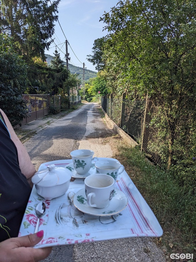 Ady hordalék eltakarítás 7