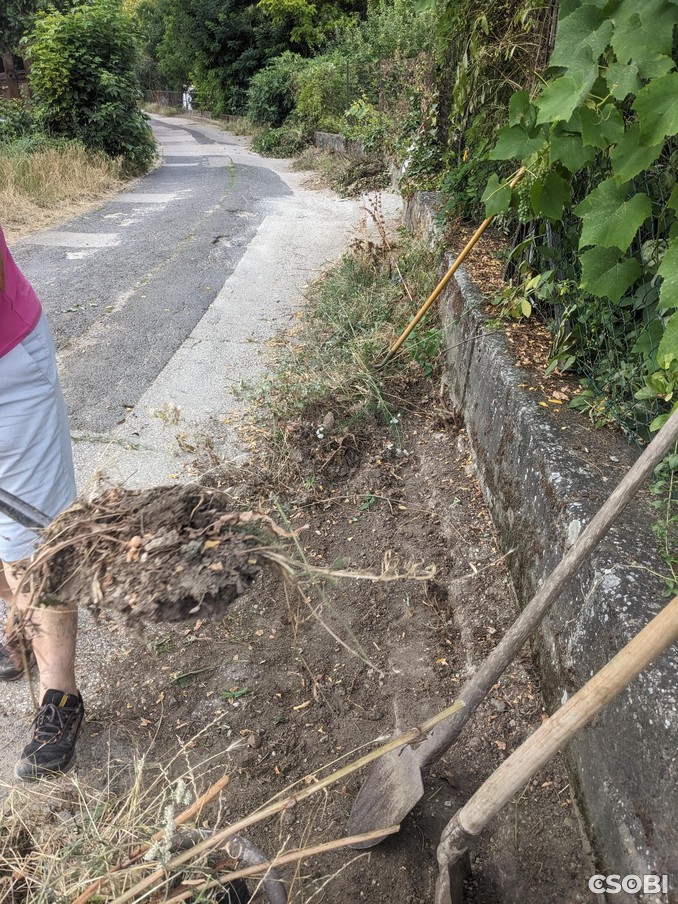 Ady hordalék eltakarítás 8